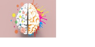 Plasticidad cerebral