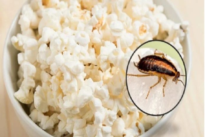 trucos casero las cucarachas