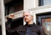 Assange