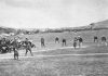 Jugadores-del-caracas-bbc-béisbol