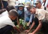 Misión Árbol planta más 43 millones de árboles en 18 años Misión Árbol