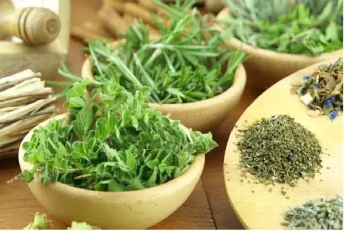 Tomillo Vs. Orégano