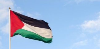 BRICS apoyan membresía plena de Palestina