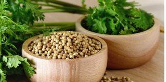 El culantro y el cilantro