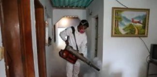 Operativo de fumigación contra el dengue