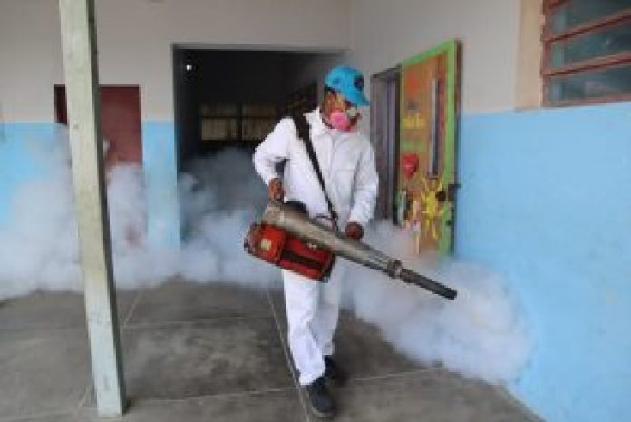dengue2