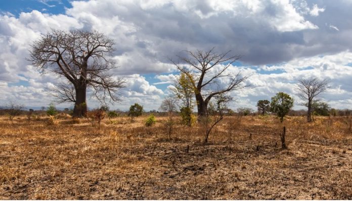 Científicos pronostican que fenómeno El Niño se convertirá en La Niña
