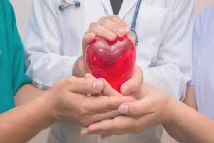 El Día Mundial de la Medicina Social