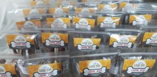 Empresa de producción social