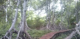 Ecoparques