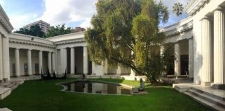 Museo de bellas artes