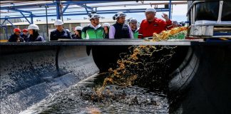 Inspeccionan Planta Petromaca