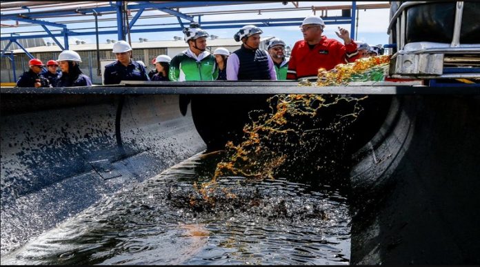 PLanta Petromaca Inspeccionan Planta Petromaca