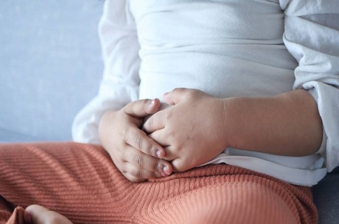 El microbioma intestinal