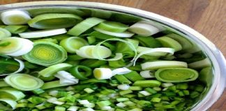 Ajo Porro y Cebollìn