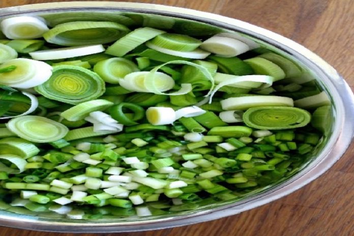 Ajo Porro y Cebollìn