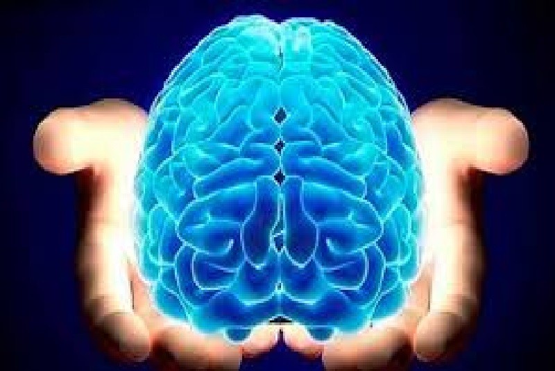 cerebro
