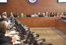 OEA no pudo aprobar resolución contra Venezuela