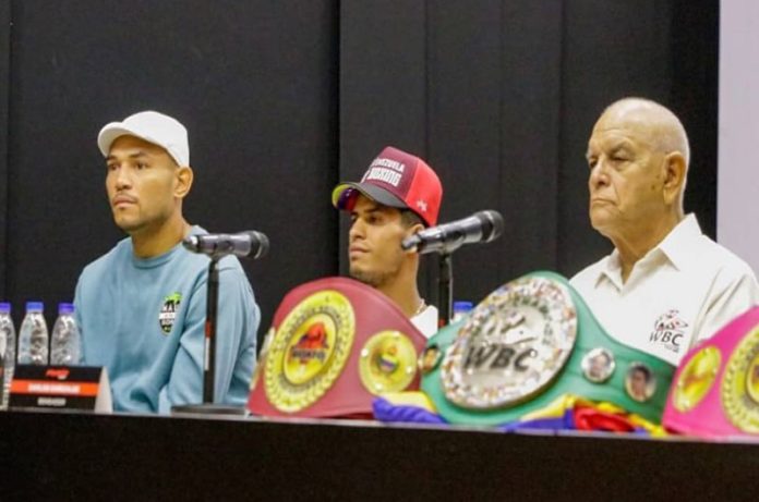 oxeo Boxeo profesional