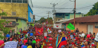 Anzoategui paraguan