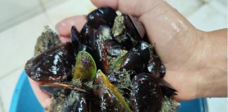 Las prácticas de pesca sostenible