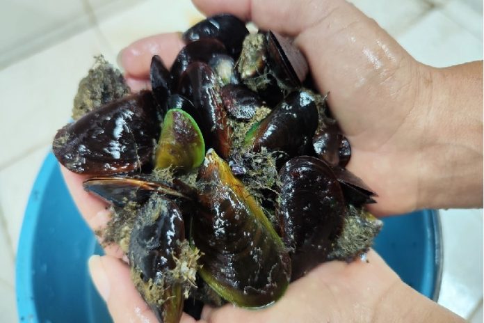 Las prácticas de pesca sostenible