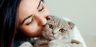 El Día Internacional del Gato