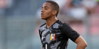 la Vinotinto 