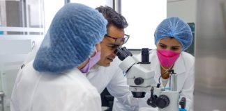 Mil 300 becas de postgrado