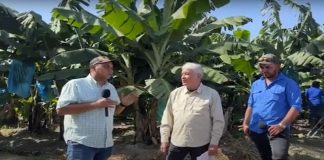 distribuidora La Gomera