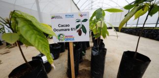 primer laboratorio genético de plantas