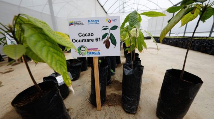 primer laboratorio genético de plantas