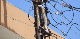 Boa se electrocuta y causa apagón en el centro de una ciudad mexicana boa