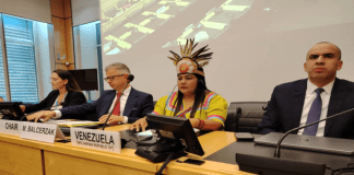 Venezuela defiende esfuerzos contra la discriminación racial en la ONU