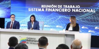 Vicepresidenta Rodríguez
