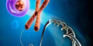 El Síndrome de Turner