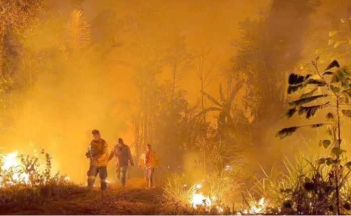 Incendios foreastales