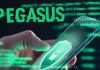 Pegasus