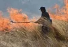 estado de emergencia