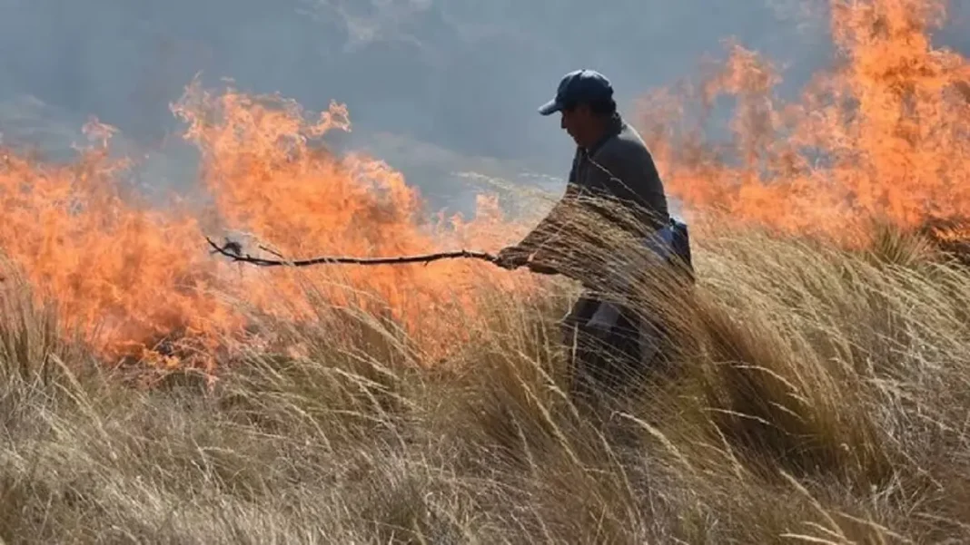 estado de emergencia