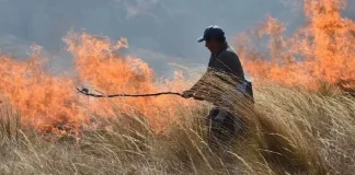estado de emergencia