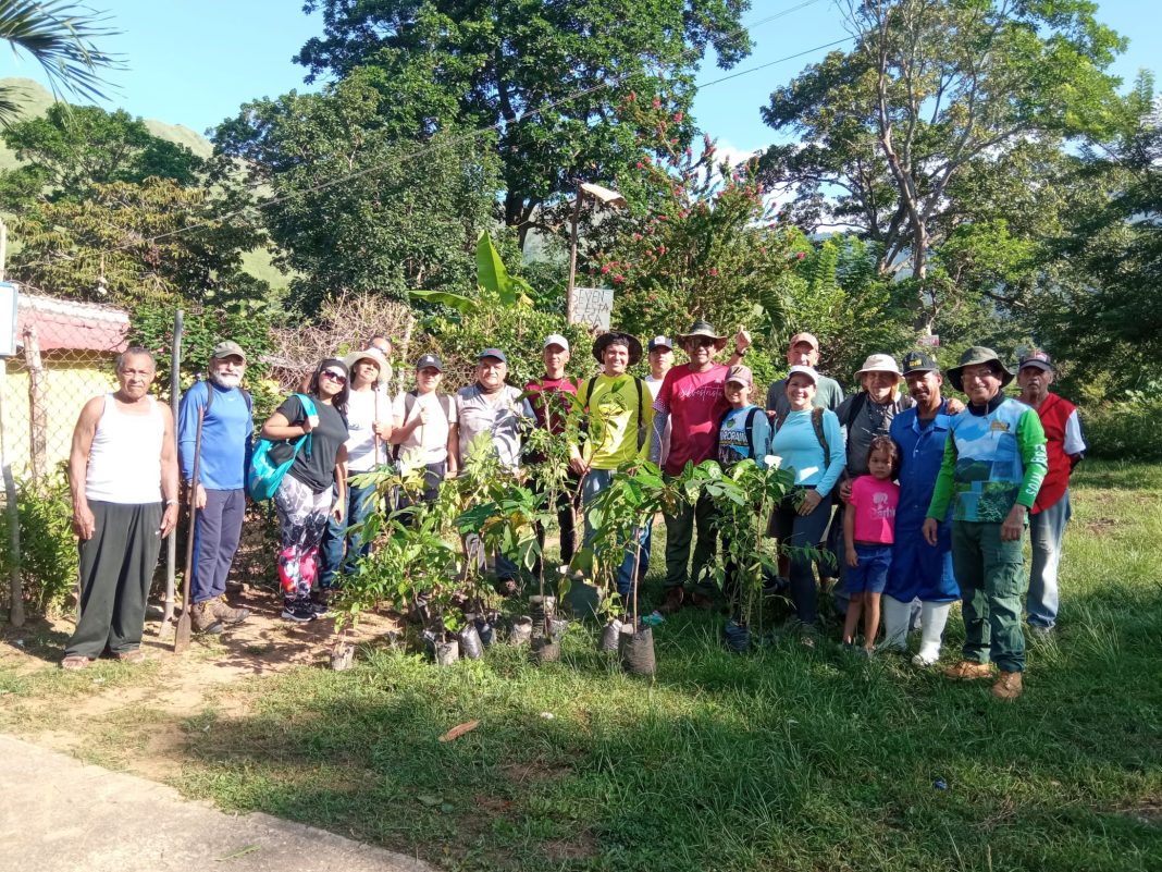 Reforestación en el rio Ñiopo