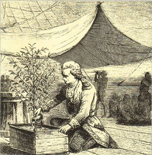 café-padre mohedano
