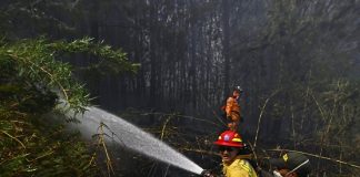 Incendios forestales