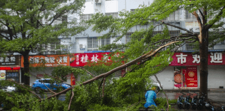 Supertifón Yagi afecta a comunidades en provincias de Chinay deja tres fallecidos