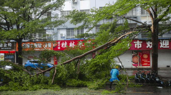 Supertifón Yagi afecta a comunidades en provincias de Chinay deja tres fallecidos