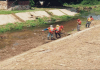 Juan José Mora: Saneado canal La Charneca en Morón Caño La Charneca