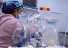Neonatología victoriosa en Carabobo