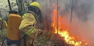 Incendios forestales en Perú
