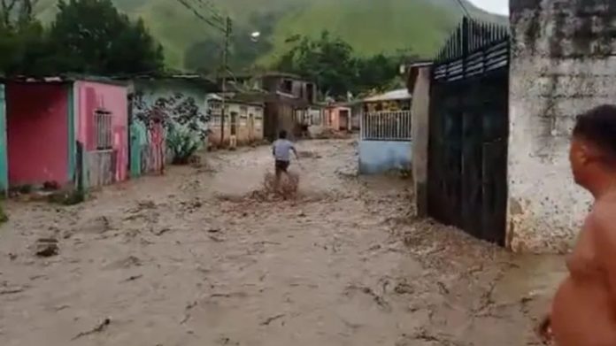 Cumanacoa Cumanacoa